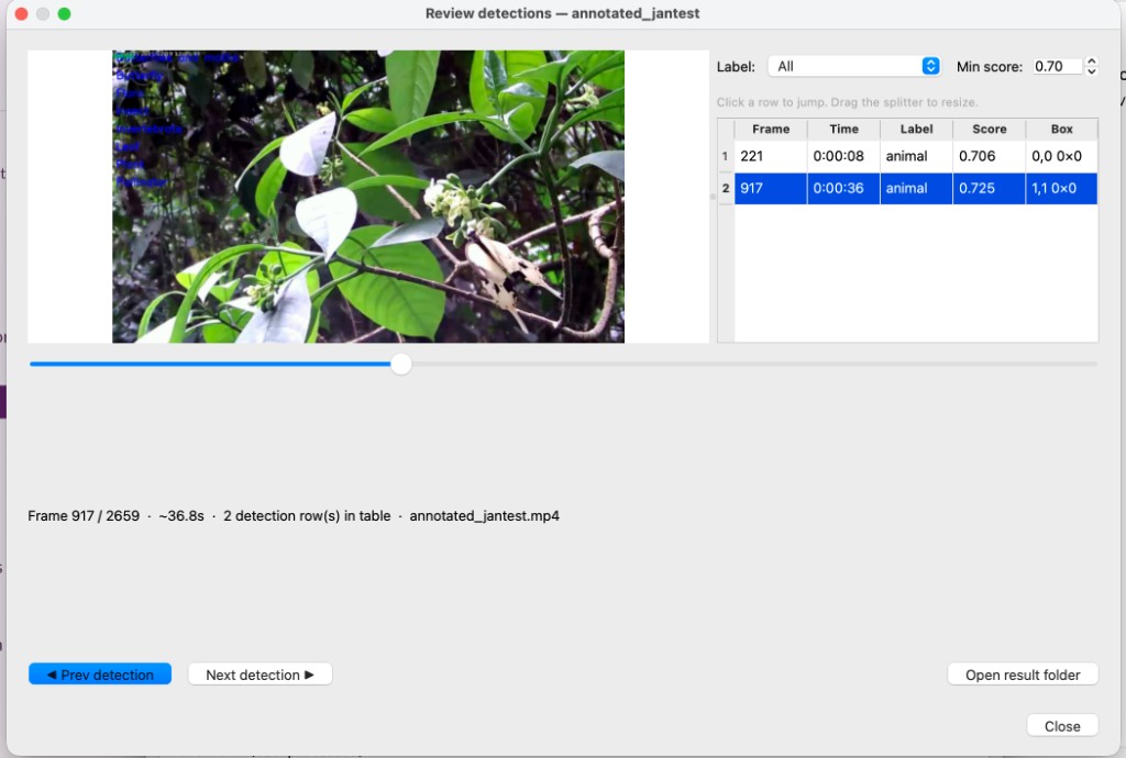 Review detections window with video, timeline, and detection table